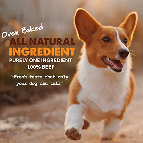 Downtown Pet Supply 12" Bully Sticks Dog Dental Treats & RawhideFree