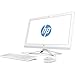 HP 23-inch All-in-One Computer, Intel Pentium J4205, 8GB RAM, 1TB Hard Drive, Windows 10 (24-g216, White)