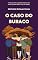 Livro O Caso do Buraco (Rafa & André (Mistério & Aventura))