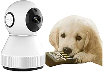 remote dog monitor