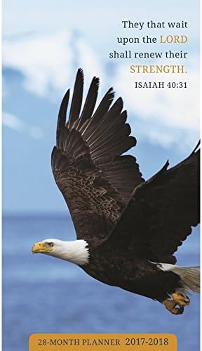On Eagle's Wing 2 Year Monthly 28-Month Pocket Planner 2017-2018