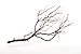 Koyal Wholesale Real Manzanita Branches, 12-Inch, Natural Brown