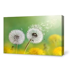 Canvas Wall Art for Living Room,Bedroom Home Artwork Paintings Dandelion Ready to Hang - 12x18 inches