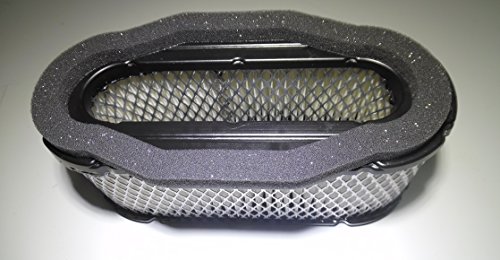 GENUINE OEM KAWASAKI PARTS - ELEMENT-AIR FILTER 11013-7024 by KAWASAKI PARTS