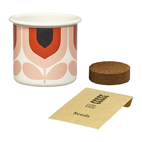 Grow Your Own Chillies - Rosewood Striped Tulip Pot