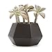 T4U Ceramic Succulent Planter Pots with Drainage Hole Set of 4, Matt Hexagonal Porcelain Handicraft as Gift for Mom Sister Aunt Best for Home Office Restaurant Table Desk Window Sill Decoration