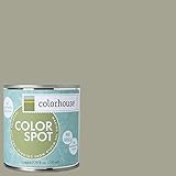 Inspired Eggshell Interior Colorspot Paint Sample, Nourish .03,  8-oz