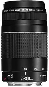 Canon EF 75-300mm f/4-5.6 III Telephoto Zoom Lens Canon DSLR view 5