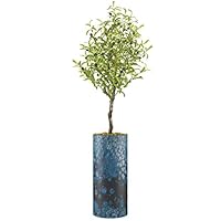 SIGNWIN Olive Tree with Faded Blue and White Lizard Scale Effect Amphibians Wildlife Minimalism Zen Colorful Ultra for Living Room, Bedroom, Office - X-Large 5 Feet (60