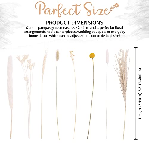 Natural Dried Pampas Grass - Boho Home Dried Flowers Decor – Includes 17 Inch White Pompous Grass, Bunny Tails, Natural Reed Grass –Fluffy Dried Flowers for Home Office Wedding Flower Arrangements