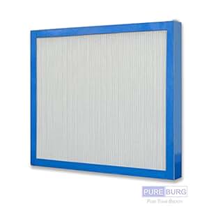 Amazon.com: Pureburg 1-Pack HEPA Filter for HoMedics Air Purifiers AF