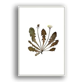 Framed Canvas Wall Art for Living Room, Bedroom Leaves Canvas Prints for Modern Home Decoration Ready to Hang - 16"x24" inches