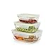 Komax Oven Safe Glass Food Containers – Microwave & Freezer safe - Airtight Storage with Snap Locking Lids - 6 Piece Set - BPA-FREE