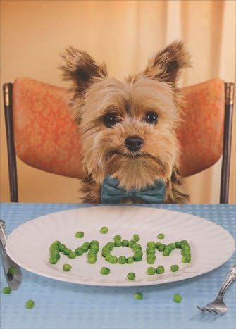 happy mothers day dog mom