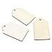 Juvale 100 Pack Unfinished Wooden Tags for Crafts with Holes and Twine, Wood Gift Tag (2.7 x 1.5 in)