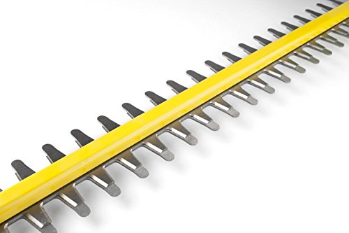 1 EGO+Power+24+Inch+Lithium+ion+Cordless