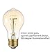 TORCHSTAR A19 LED Bulb Dimmable, 7W LED Light Bulb 60W Equivalent, Vintage Bulbs 800LM, 4000K Cool White, E26 Medium Base, UL Listed, Pack of 6