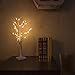 Lighted Birch Tree, Warm White, YUNLIGHTS 2.3ft 30LEDs 8 Modes Desk Top Bonsai Birch Tree with White Branches for New Year Home Wedding Party Indoor Outdoor