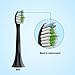 Diamond Clean Replacement Toothbrush Heads Black with Cap, Brush Heads Fit Perfectly for Philips Sonicare Snap-On Interface Design, 8 Pack