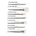 Sankuwen 7 Pcs Professional Powder Cosmetic Makeup Brush ( Silver )