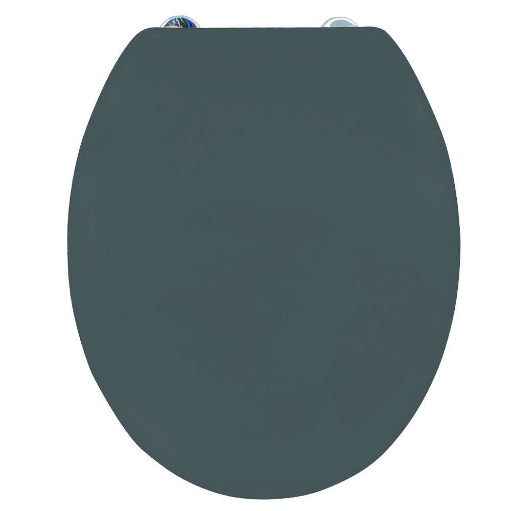 MSV Polyresin Toilet Seat, Grey