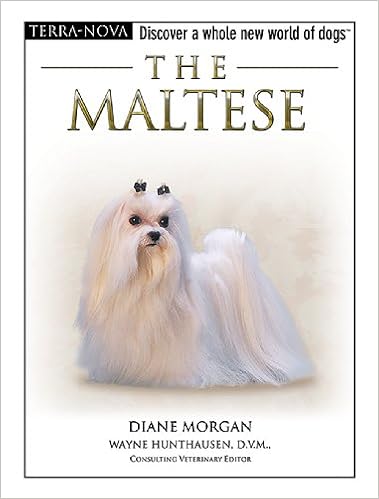 The Maltese (Terra-Nova) �n�[�h�J�o�[  - 2006/6/15