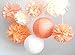 SUNBEAUTY Pack of 8 3 Colors Tissue Paper Flowers Tissue Paper Pom Poms, Wedding Decor, Pom Poms Flowers, Paper Lantern, Pom Poms Craft,Party Decoration (Orange-1)