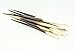 African Porcupine Quills 6