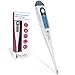 Digital Thermometer by Proven.