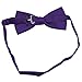 Platinum Hanger Mens Classic Pre-Tied Satin Formal Tuxedo Bowtie Adjustable Length Large Variety Colors Available (Purple)