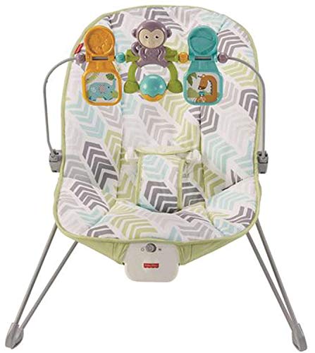 3 Fisher+Price+Babys+Bouncer+Green+Blue
