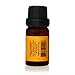 Ceylon Cinnamon Bark Oil - 10ml (0.33oz) net - Steam Distilled Premium Quality