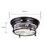 Ecopower Vintage Oil Rubbed Bronze Metal Glass Ceiling Light Fixture