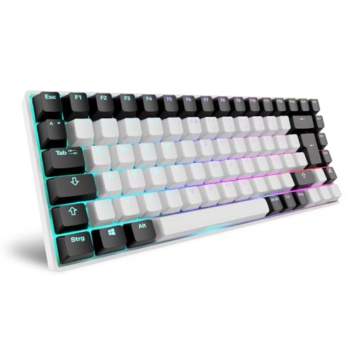 Sharkoon Skiller SGK50 S3 Weiß, RGB Gaming Keyboard, Gateron Brown, 75% Layout 2