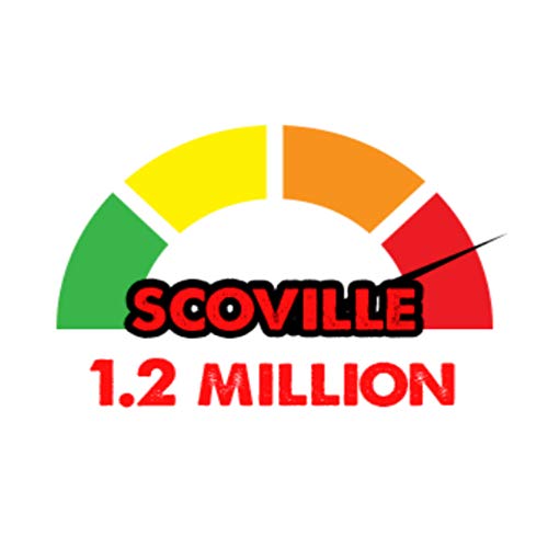 Torchbearer Sauces Best Sellers 3Pack Mini Hot Sauce Gift Set, 1.7 Oz