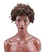 Deewin Hair Short Kinky Curly Human Hair Wig Cheep Female Afro Kinky Curly Short Wigs for Black Women Heat Resistant African Hair Wigs (Brown)