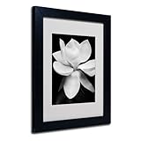 Magnolia Canvas Wall Art by Michael Harrison with Black Frame, 11 by 14-Inch