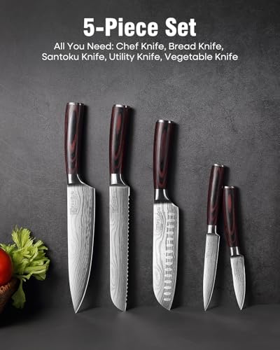 PAUDIN Juego de cuchillos de cocina sin bloque, juego de 5 cuchillos de cocina de acero inoxidable con mango Pakkawood, juegos de regalo profesional de cocina para amantes de la cocina y días más