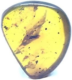18.38 ct Natural Burmite Amber Insect (Untreated) 100 million years old
