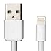 Lightning to USB A Cable