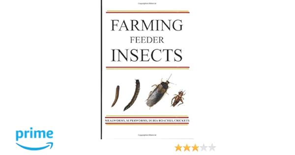 Farming Feeder Insects A Guide Jeff Jech 9781687626004 Amazon