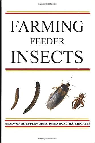 Farming Feeder Insects A Guide Jeff Jech 9781687626004 Amazon