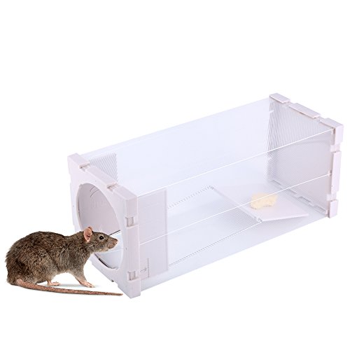 Humane rat trap cage live animal catcher mouse pest rodent contro…