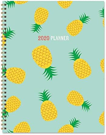 2020 Pineapple Party Large Weekly Monthly Planner