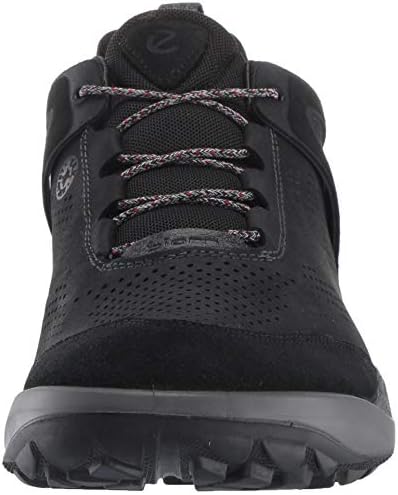 ecco men's biom 2go