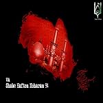 Pelk Mizani Be Sakhti (Original Mix)