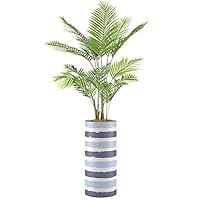SIGNWIN Areca Palm Tree with Navy & Light Blue Jagged Paint Stripes Abstract Shapes Minimalism Zen Relax/Calm Multicolor Ultra for Living Room, Bedroom, Office - X-Large 5 Feet (60