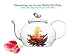 Tea Beyond Black Tea Gift set Iced Or Hot English Breakfast Flowering Tea 12 Packs Black Tea Blooming Tea Assorted Black Tea NON GMO Vegan Friendly 100% Natural No Artificial or Natural Flavors added
