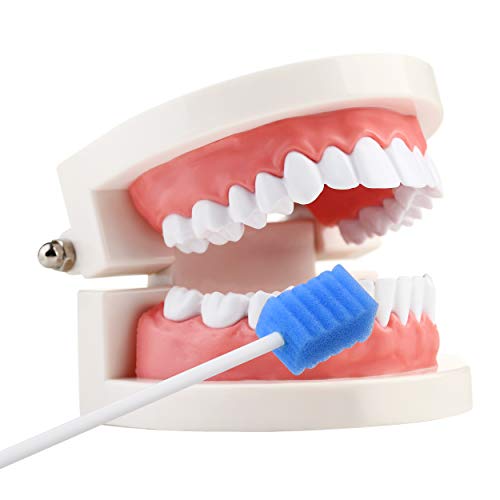 [Pack of 150] Blue Oral Swab/Unflavored and Untreated Swabs/Disposable