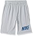 NIKE Boys' Dry Legacy Training Shorts